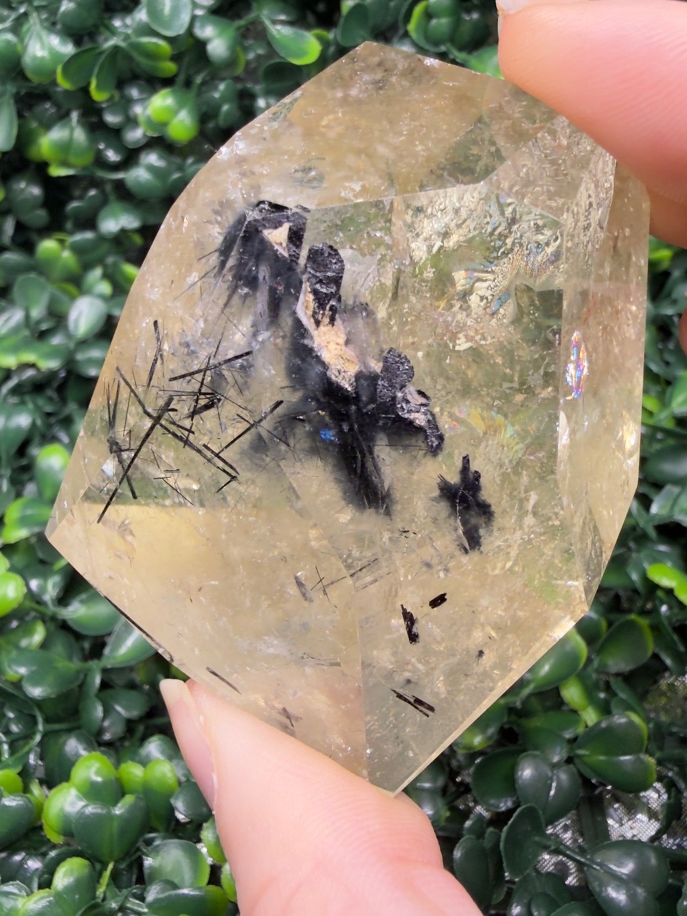 Tourmalinated Citrine Polished Free Form